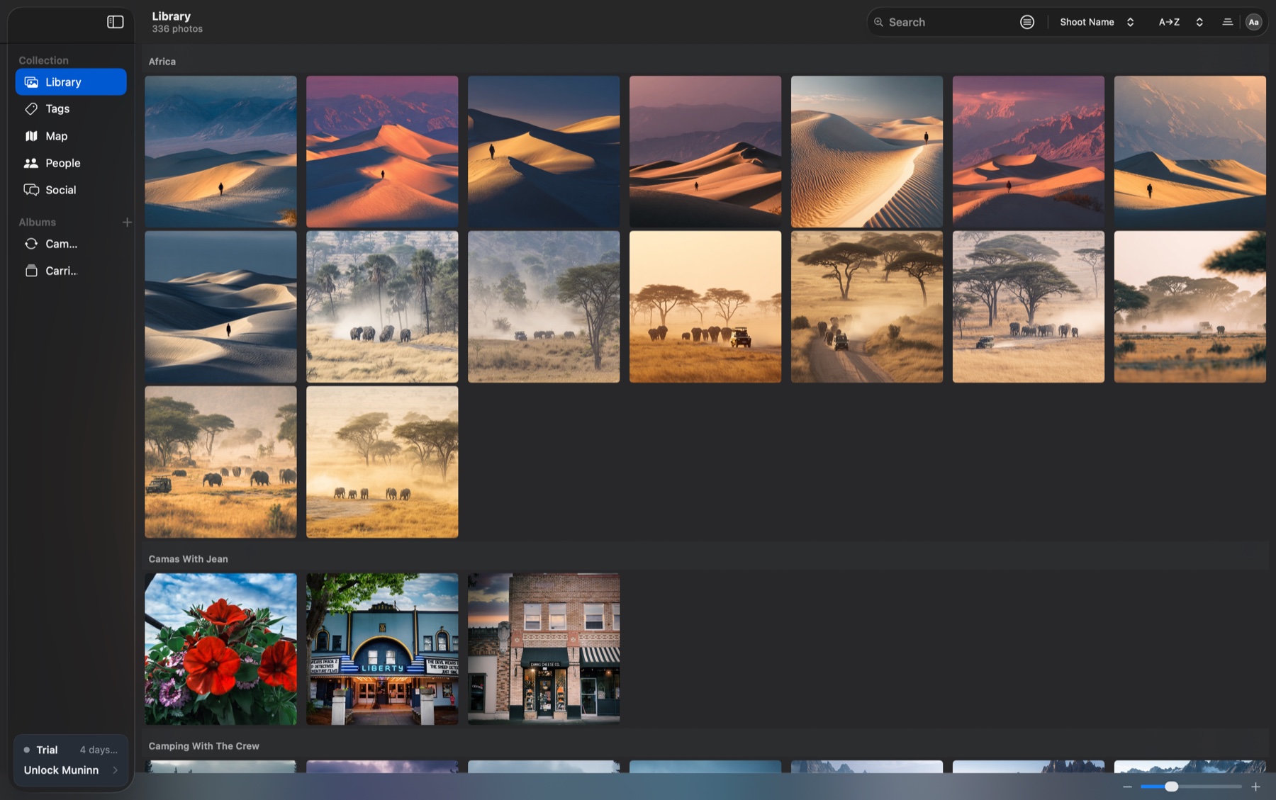 Muninn library grid, organized by shoot